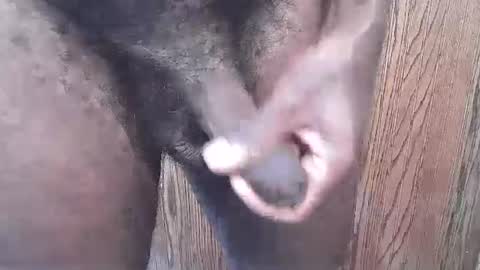 Snapshot of snkr1244 chatting on 09.13.25 snkr1244 online show from 09.13.25