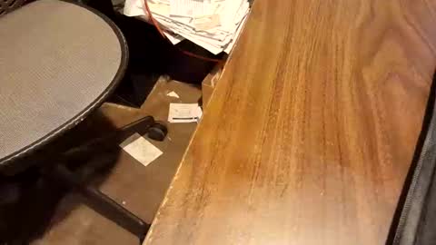 watchmecum online show from 02.15.26