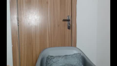 snowdrop5 online show from 01.31.25