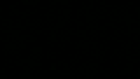 snp__useeitsfun online show from 11.10.25