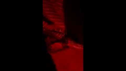 snqhephncxpu online show from 03.11.26