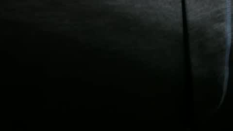 Snapshot of snuffalufagus chatting on 12.20.24 Adam online show from 12.20.24