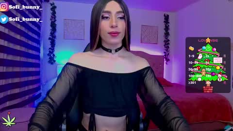 Snapshot of soffi_bunny_ chatting on 12.22.24 soffi_bunny_ online show from 12.22.24
