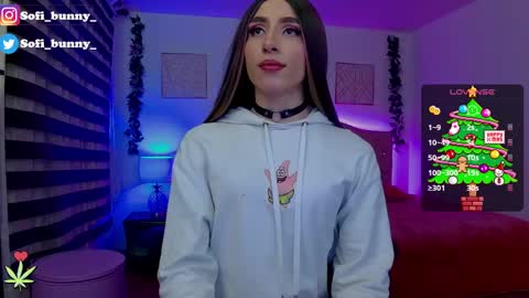 Snapshot of soffi_bunny_ chatting on 12.28.24 soffi_bunny_ online show from 12.28.24