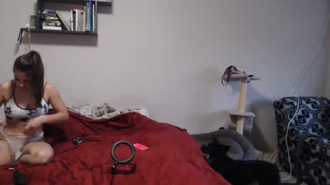 Sofi online show from 12.12.24