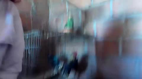 sofia gutierrez   online show from 01.21.25