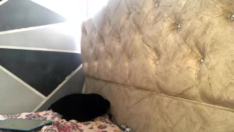 Snapshot of sofia_jimenezz chatting on 11.04.25 Sofia Jimenez online show from 11.04.25