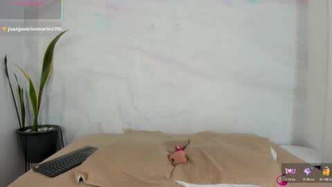 SOFIA online show from 02.11.26