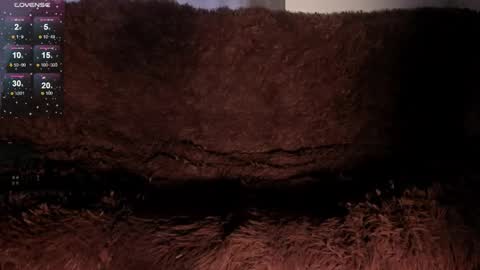 Sofy online show from 02.20.26