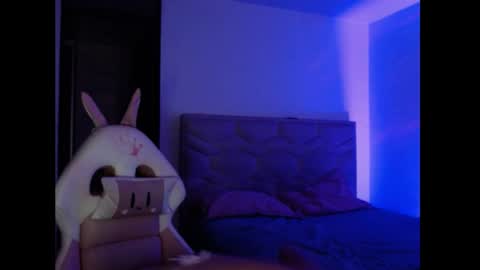Snapshot of sol_amarilla_ chatting on 12.29.24 gin independent model online show from 12.29.24