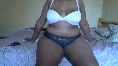 Solly bunny online show from 02.03.26