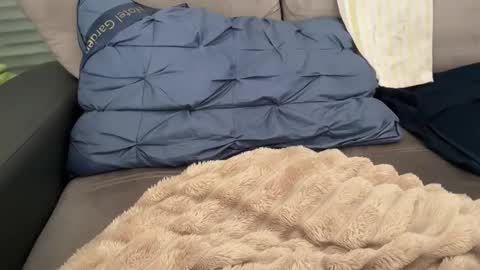 Tayla online show from 02.28.26