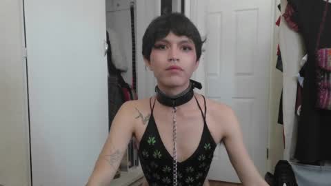 soophiebby online show from 06.07.26