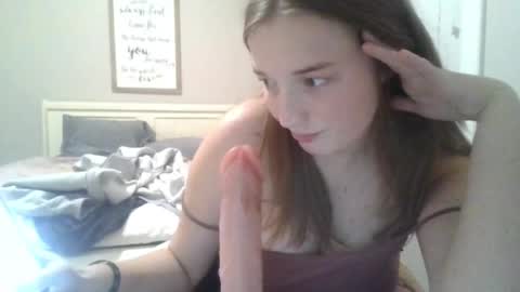 Sophie Bateman online show from 02.19.25