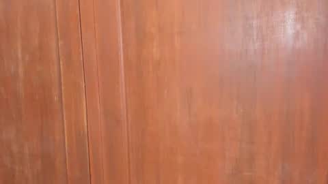 Snapshot of sophiia88 chatting on 02.18.26 Shopiia88 online show from 02.18.26