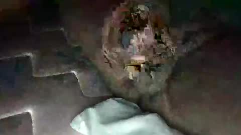 source1012 online show from 01.11.25