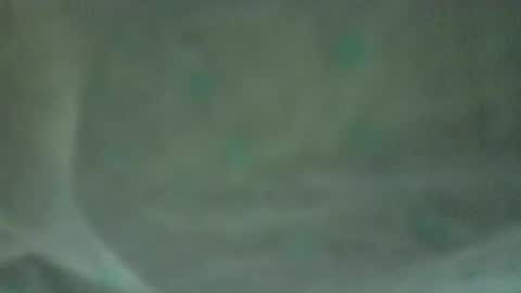 Snapshot of soycule2005 chatting on 04.10.26 soycule2005 online show from 04.10.26