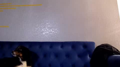 Snapshot of spankyspice chatting on 11.01.25 spankyspice online show from 11.01.25