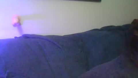 Scottietee online show from 04.11.26