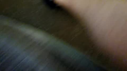 species online show from 12.31.24