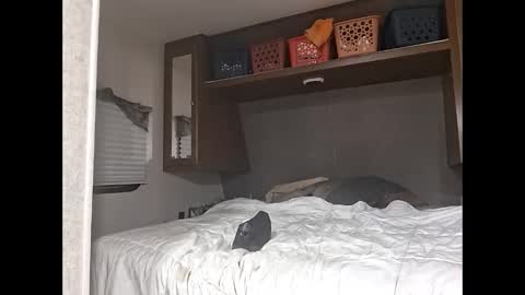 speedo_tx online show from 03.23.26