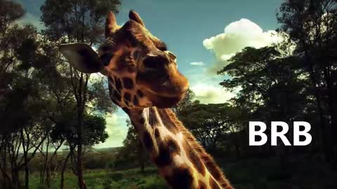 Snapshot of sport_tall_karina chatting on 01.18.25 Karina online show from 01.18.25