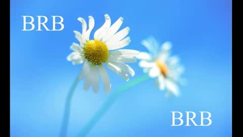 Snapshot of sport_tall_karina chatting on 02.28.25 Karina online show from 02.28.25