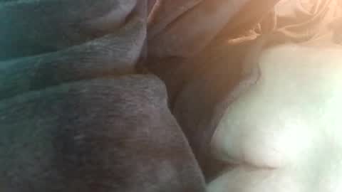 spunfuncumming online show from 07.19.26