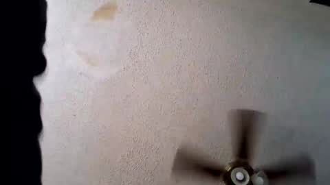 Snapshot of spunlikeatoap chatting on 02.28.26 SpUnLiKeAtOp online show from 02.28.26