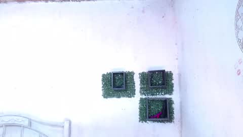 valeria online show from 01.25.25