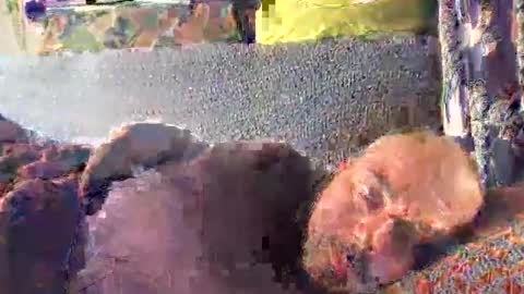 Snapshot of srekos38 chatting on 10.10.25 srekos38 online show from 10.10.25