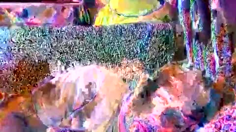 srekos38 online show from 04.11.26