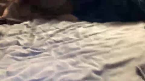 Snapshot of ssportz1392 chatting on 11.01.25 ssportz1392 online show from 11.01.25