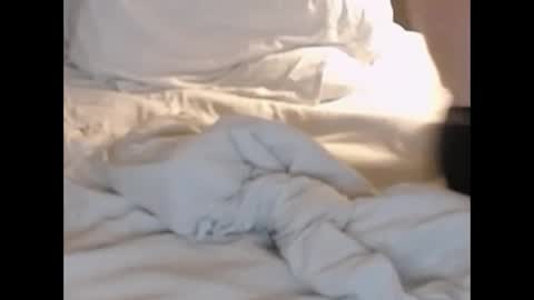 st8llion online show from 02.27.25