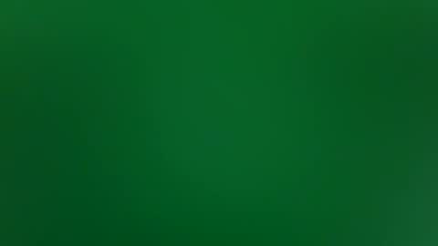 stacysquirtle online show from 02.04.26