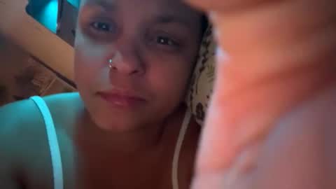 stacysquirtle online show from 02.05.26