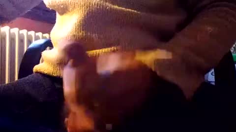 CIPPALIPPA online show from 12.31.24