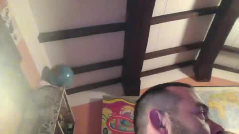 CIPPALIPPA online show from 01.18.26