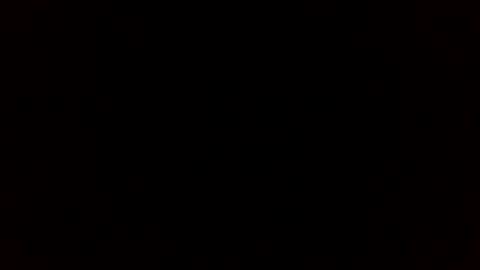 Star online show from 11.19.25