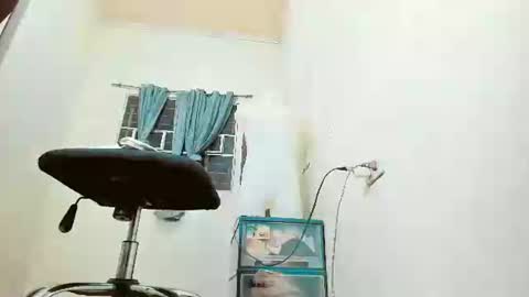 stefania online show from 01.08.25