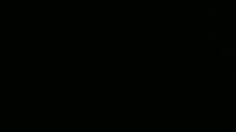 Snapshot of steflab chatting on 02.24.26 steflab online show from 02.24.26