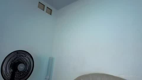 Steicy online show from 04.12.26