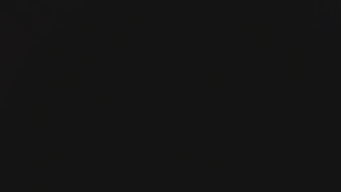 Steisha online show from 01.29.25