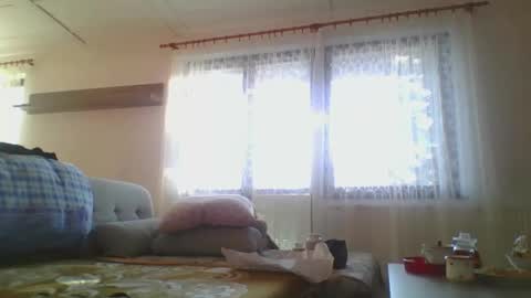 steki038434 online show from 12.31.24