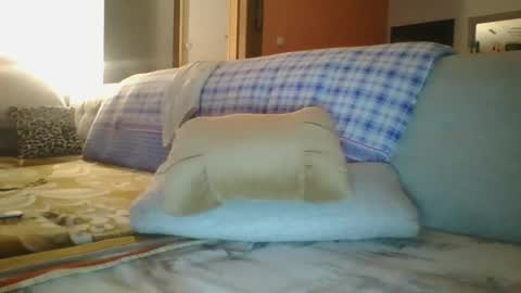 steki038434 online show from 01.12.25