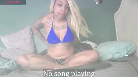 Stella Clitella online show from 01.17.26