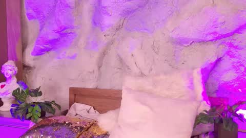 S T E L L A online show from 02.19.26