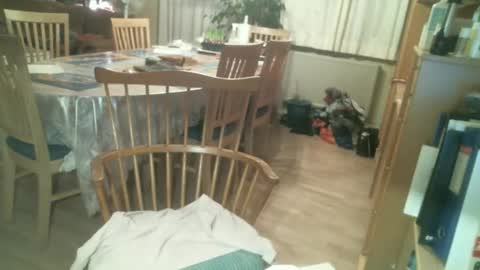 stellatrans12 online show from 12.02.24