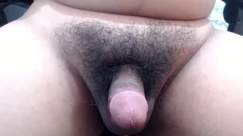 Stellaven online show from 01.24.25