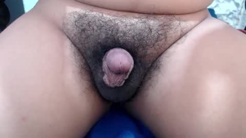 Stellaven online show from 02.14.25